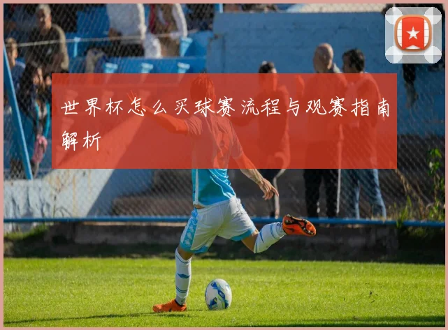 世界杯怎么买球赛流程与观赛指南解析
