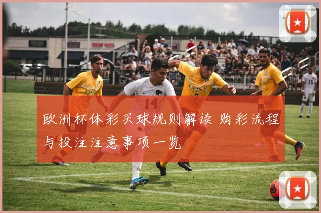 欧洲杯体彩买球规则解读 购彩流程与投注注意事项一览
