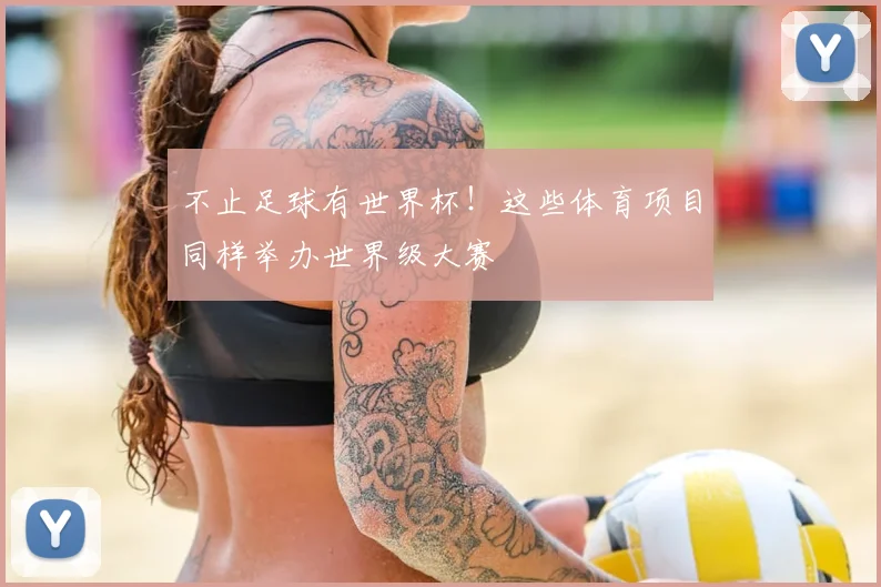 不止足球有世界杯!这些体育项目同样举办世界级大赛