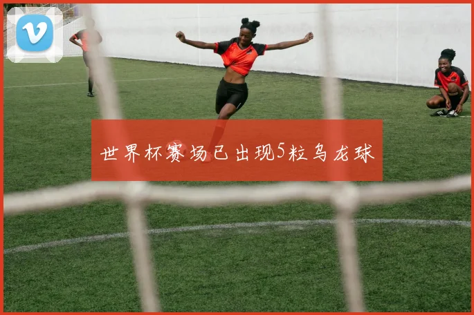 世界杯赛场已出现5粒乌龙球