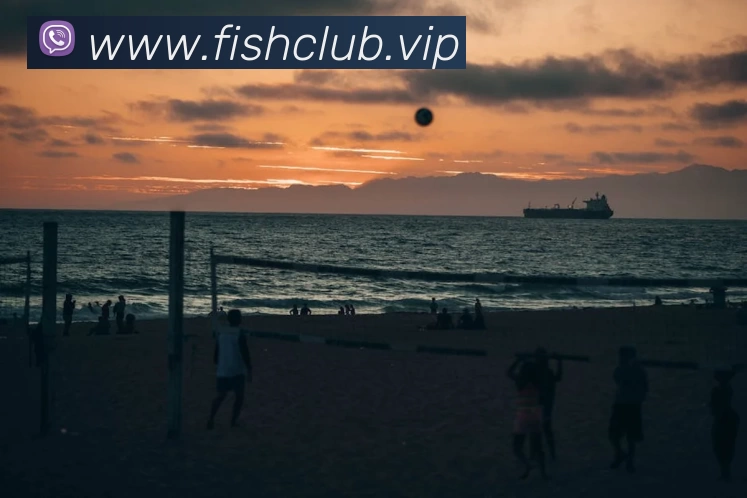 熊猫体育官方网站 - 专业赛事直达，体验无限激情平台生态图