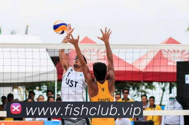 熊猫体育官方网站 - 专业赛事直达，体验无限激情全站App